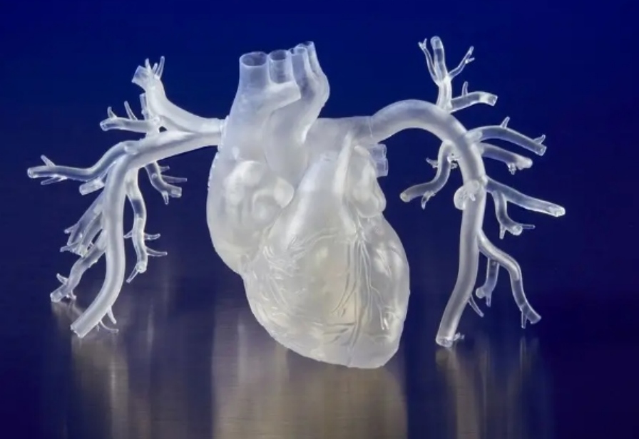 心臟模型3D打印血管紋理清晰到炸裂